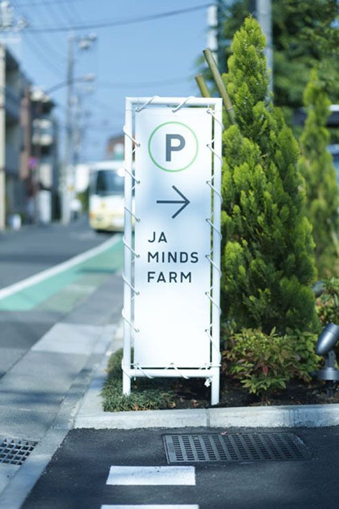 Temporary Signs
